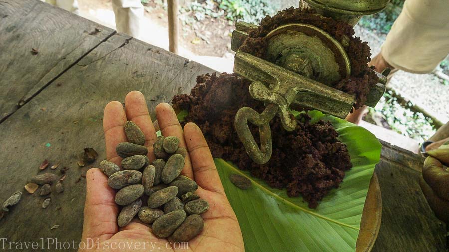 Beans to grinding nibs into cacao paste at La Loma Bastimentos