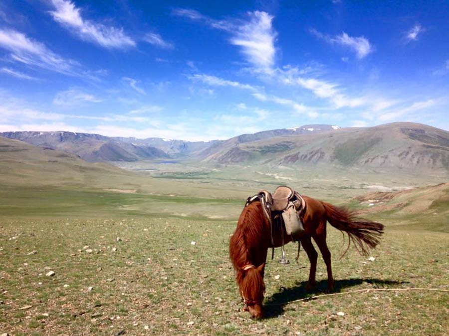 Adventure and eco experiences for 2017 horseback riding in Mongolia