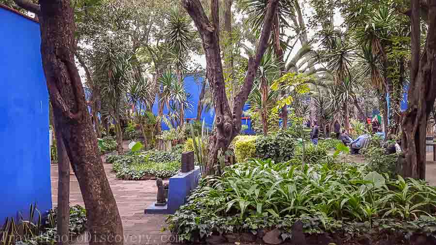 Central interior garden of the Frida Kahlo Museum in Mexico City