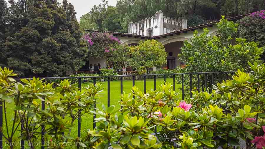 Outdoor gardens at the Museum of Dolores Olmedo