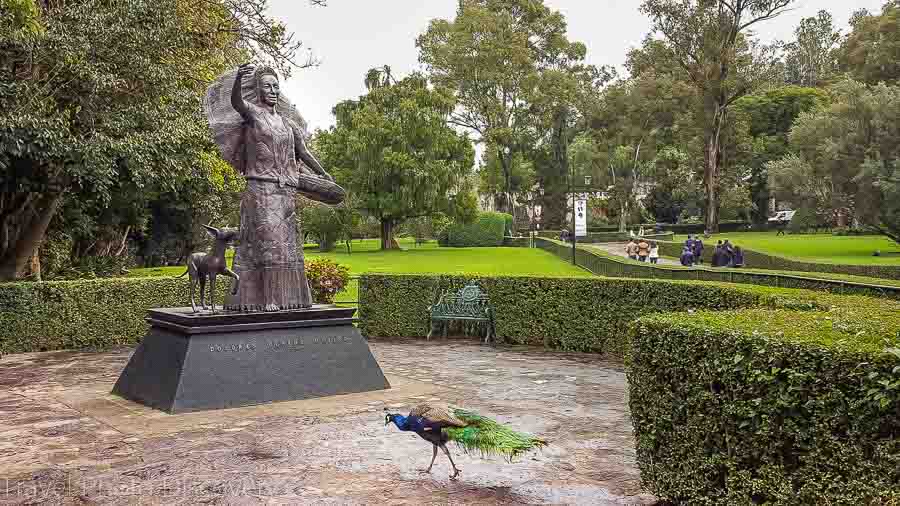 Touring Mexico City Tours by Locals Sports Museum of Dolores Olmedo