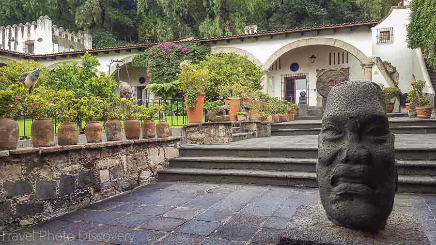 Touring Mexico City Tours by Locals Sports Museum of Dolores Olmedo