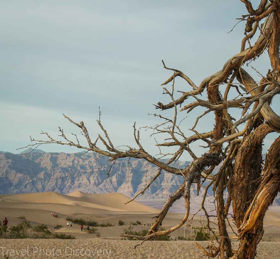 Death Valley National Park Mesquite Dunes Flats