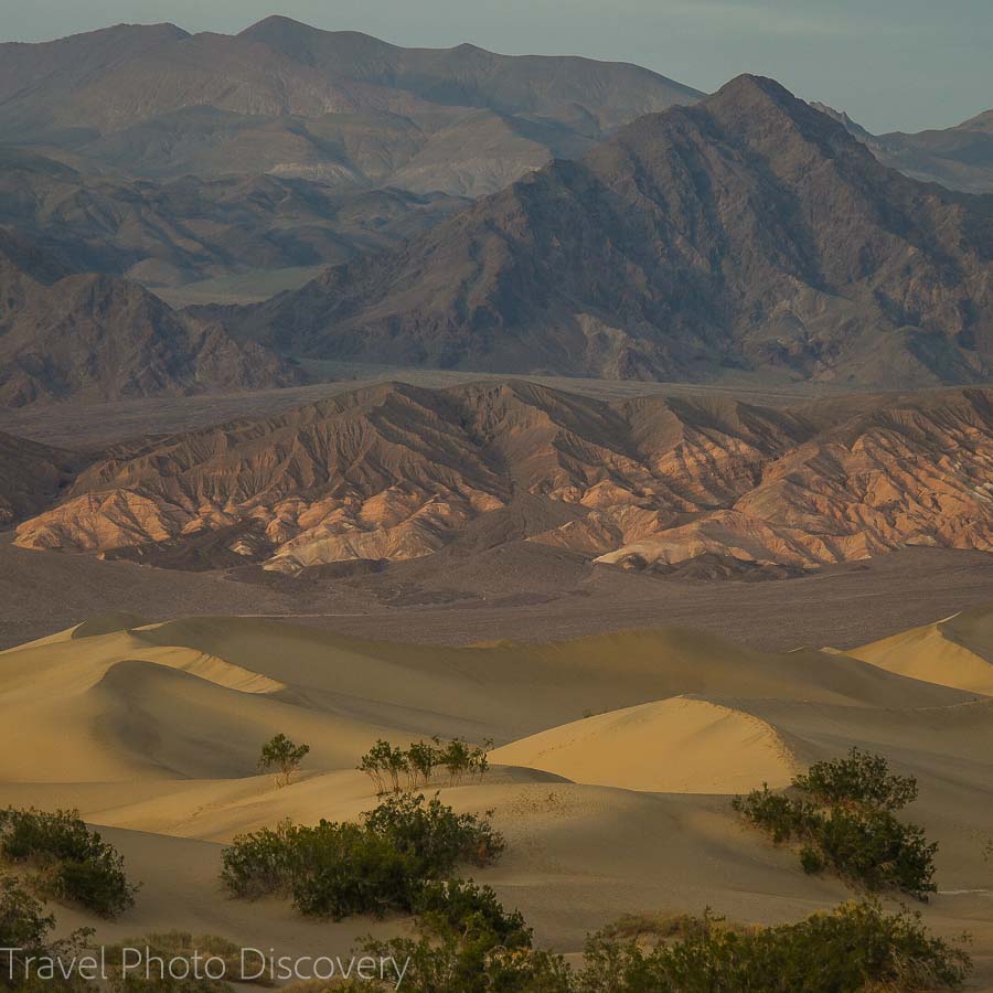 Mesquite dune flats Death Valley