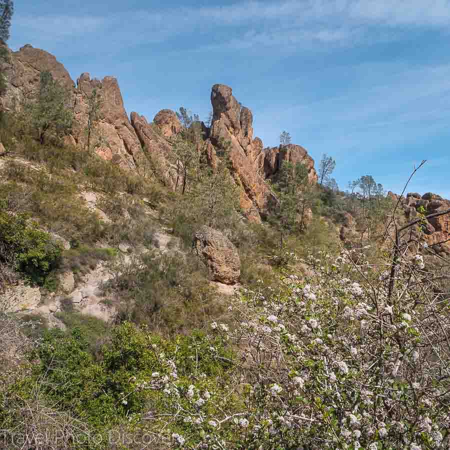 Exploring Pinnacles National Park