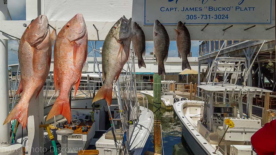 Miami to Key West road trip at the Florida Keys islands