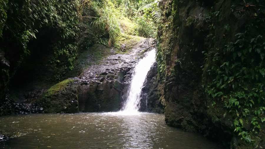 Maunawili Falls Things to do in Oahu
