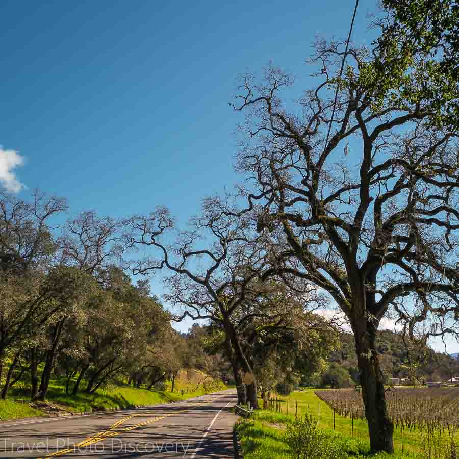 A drive along the Silverado trail, Napa Valleys alternate backroad through the valley