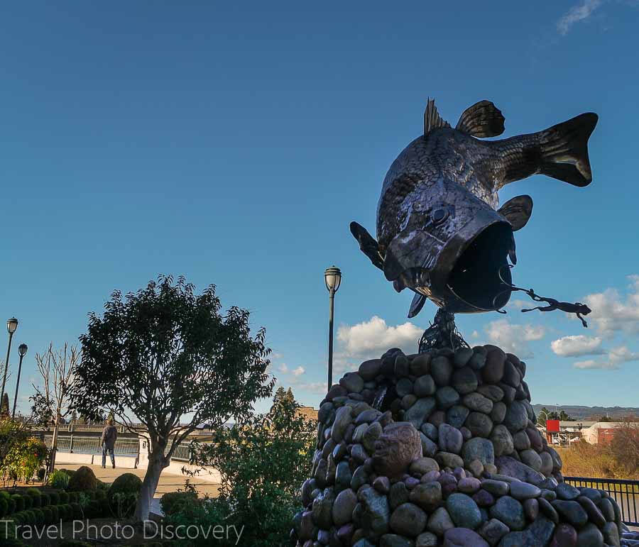 Public art on dislplay in along the Napa riverfront 