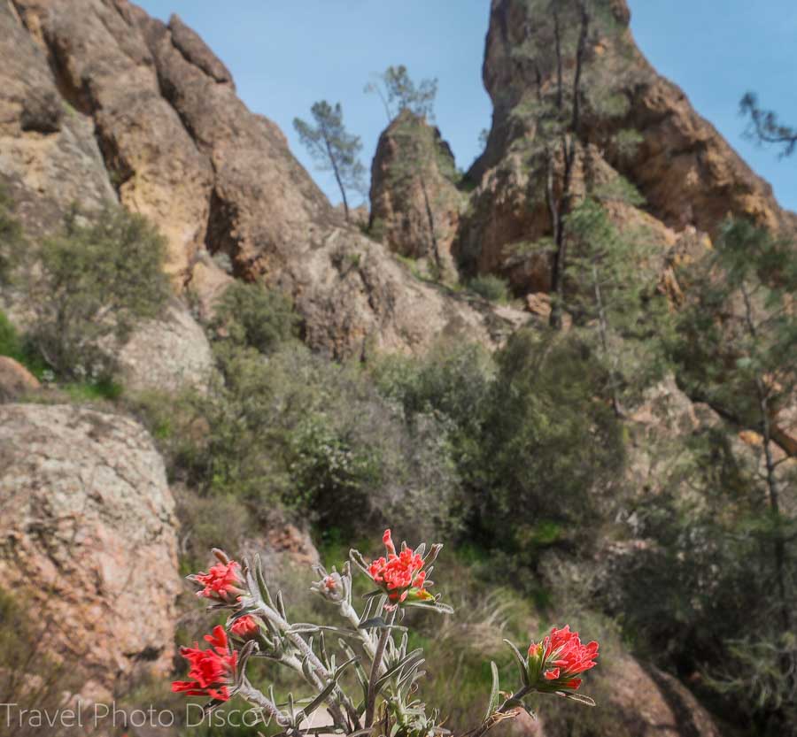 Travel Photo postcard Pinnacles National Park