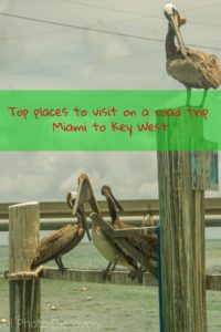 A road trip from Miami to Key West