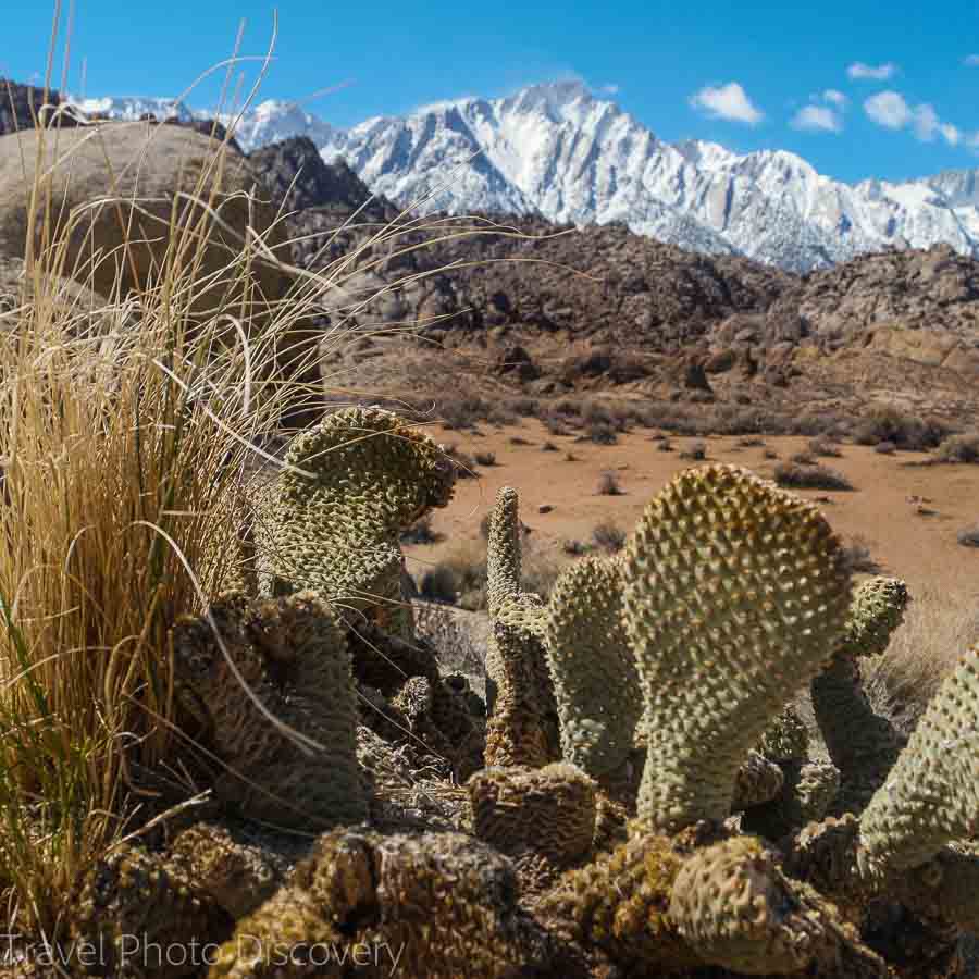 Alabama Hills at the base of Mt. Whitney