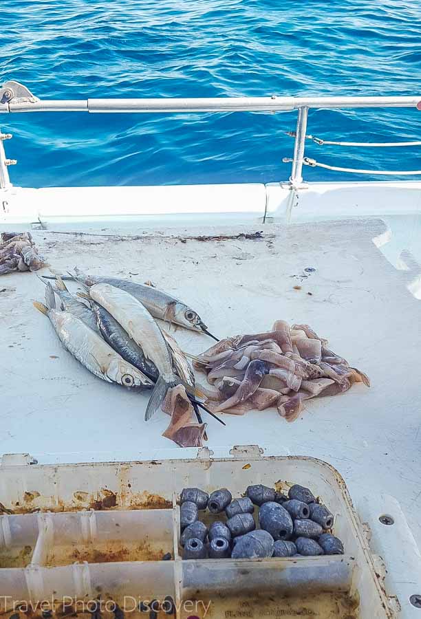 Fishing time on the Captain Michael at Islamorada