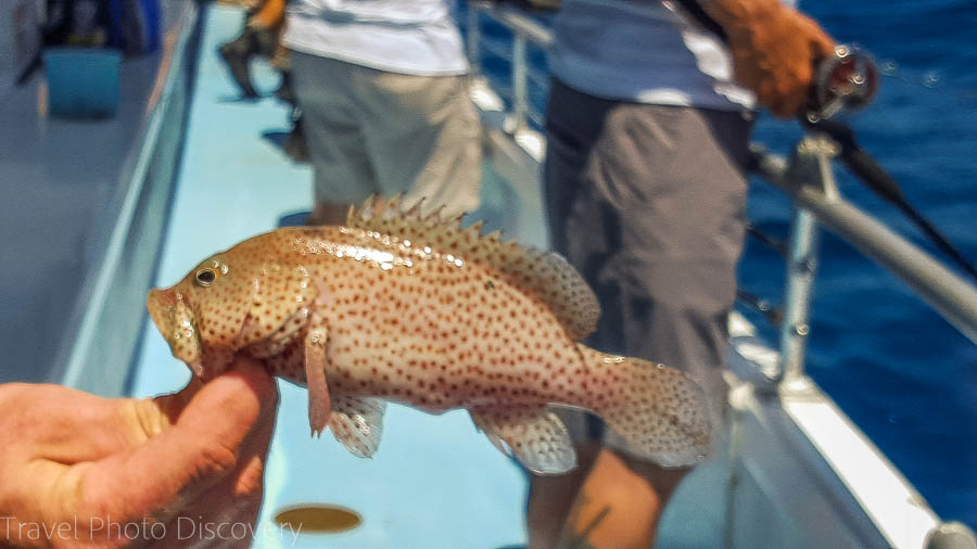 Fishing time on the Captain Michael at Islamorada