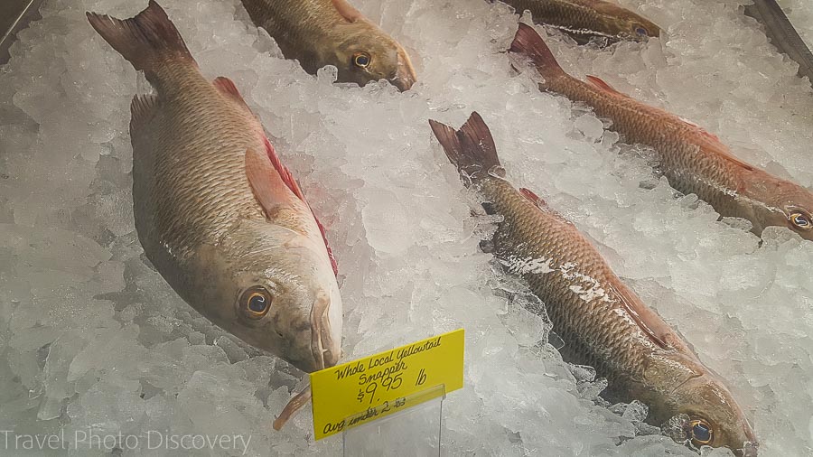 Fresh fish for sale on Marathon island, Florida Keys