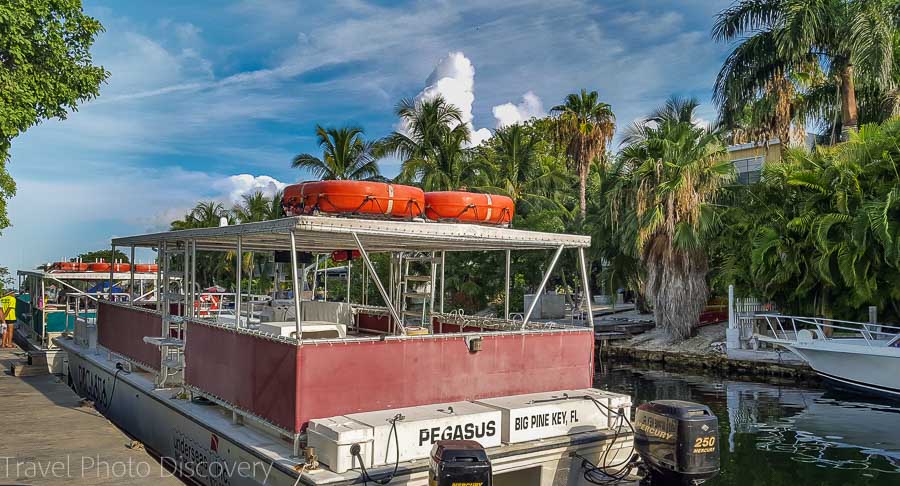 Florida National Marine Sanctuary off Marathon Keys