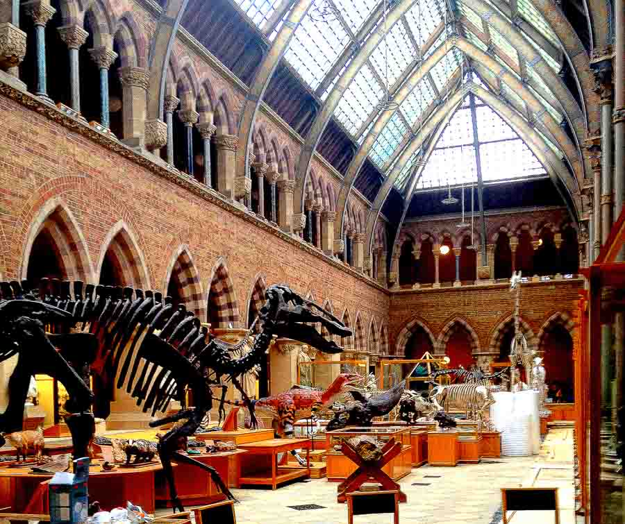 Places to visit Oxford at the Natural History Museum