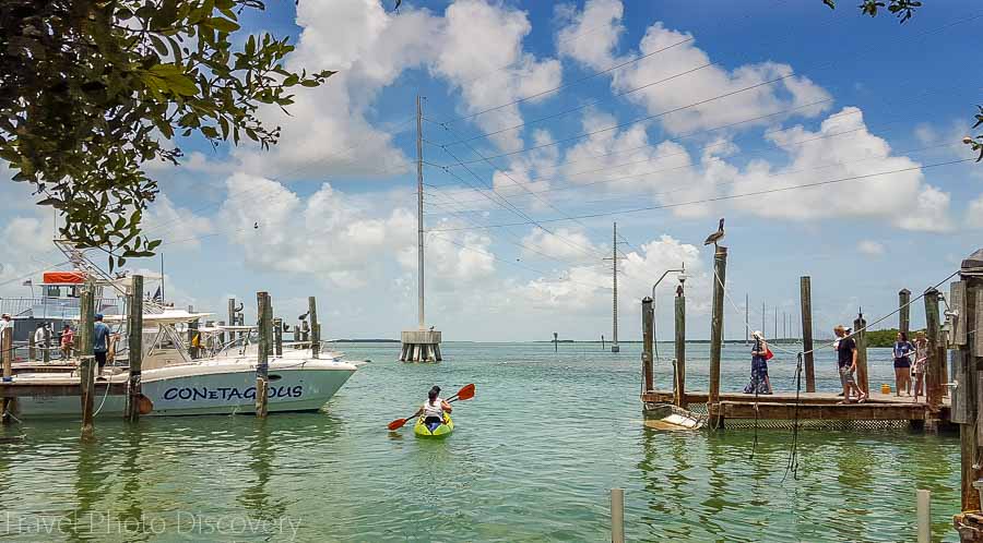 Robbies docks at Islamorada Key