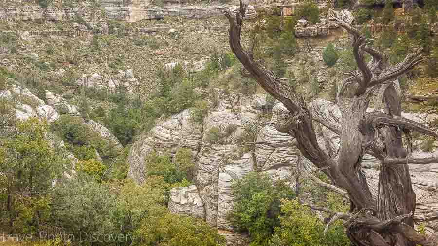 Walnut Canyon National Monument nature studies