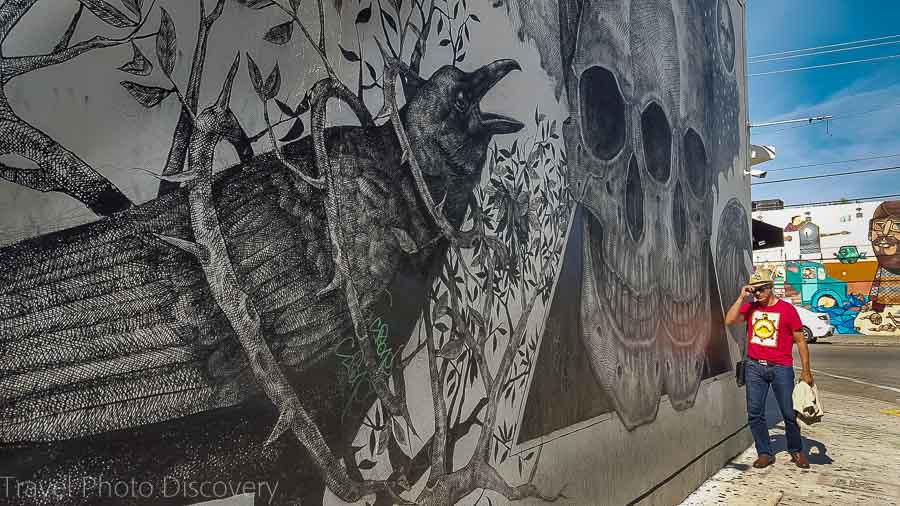 Checking out the street art in the Wynwood district of Miami