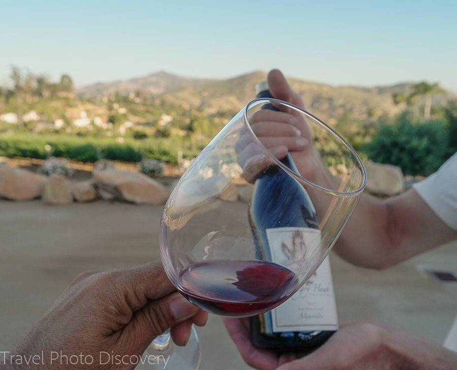 Hungry Hawk wine tasting in Escondido California