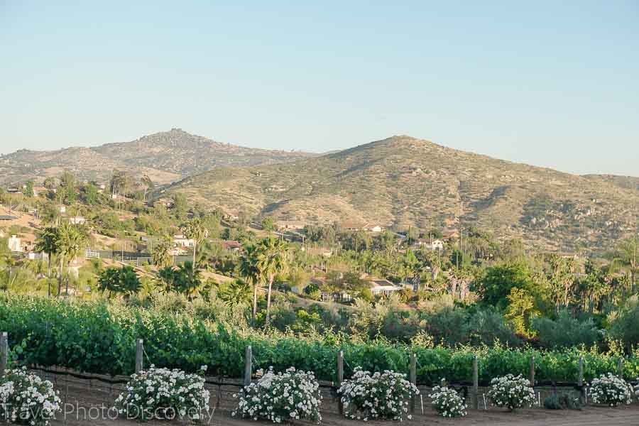 Orfila winery in Escondido San Diego county