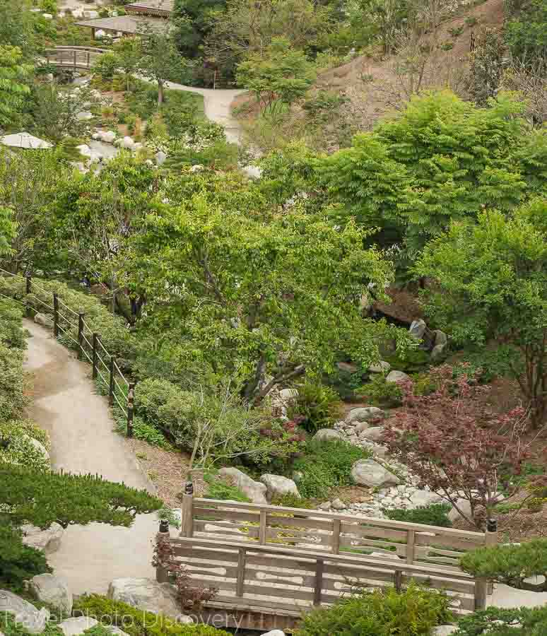 Japanese friendship garden at Balboa Park in San Diego