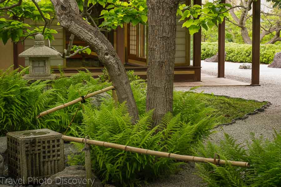 Japanese friendship garden at Balboa Park in San Diego