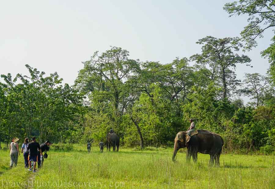 Morning jungle trek at Chitwan National Park