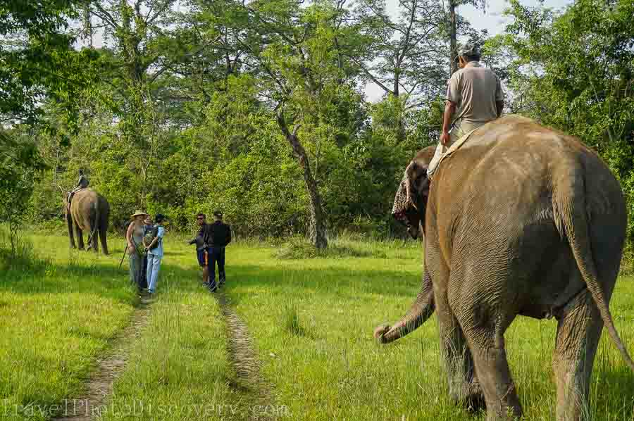 Exploring Chitwan National Park in Nepal