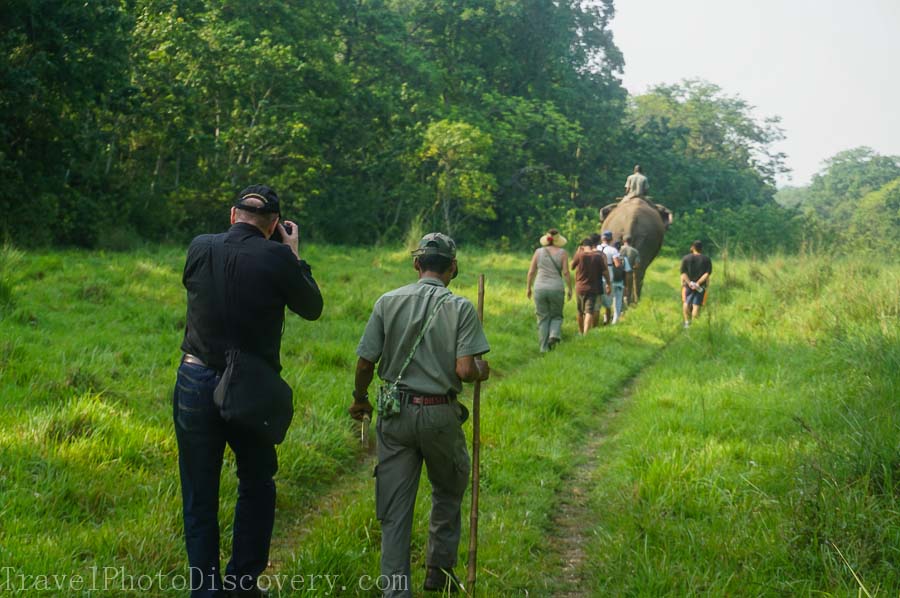 Morning jungle trek at Chitwan National Park