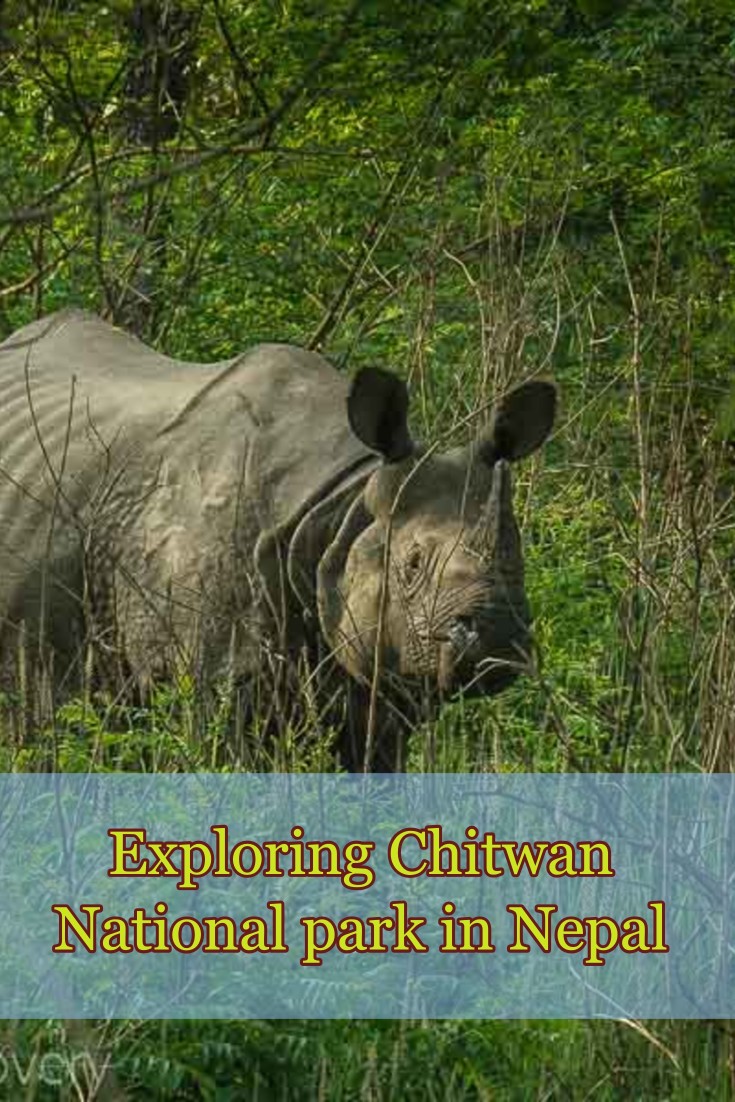 Pinterest pin of Chitwan National park