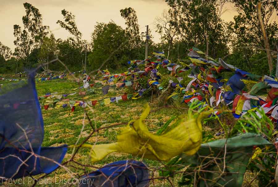 Wetland area surrounding the holy site at Lumbini