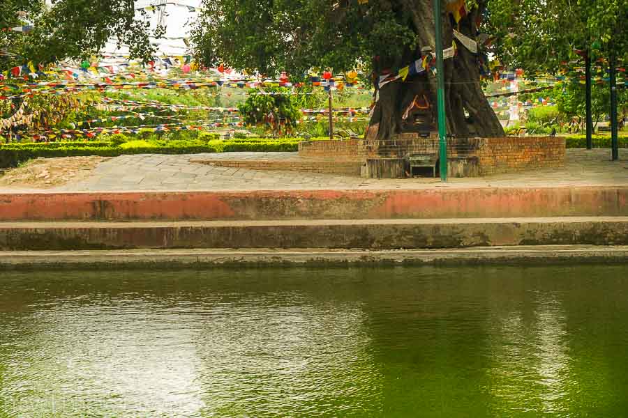 Lumbini gardens, birth pond and Bodhi tree at the holy site