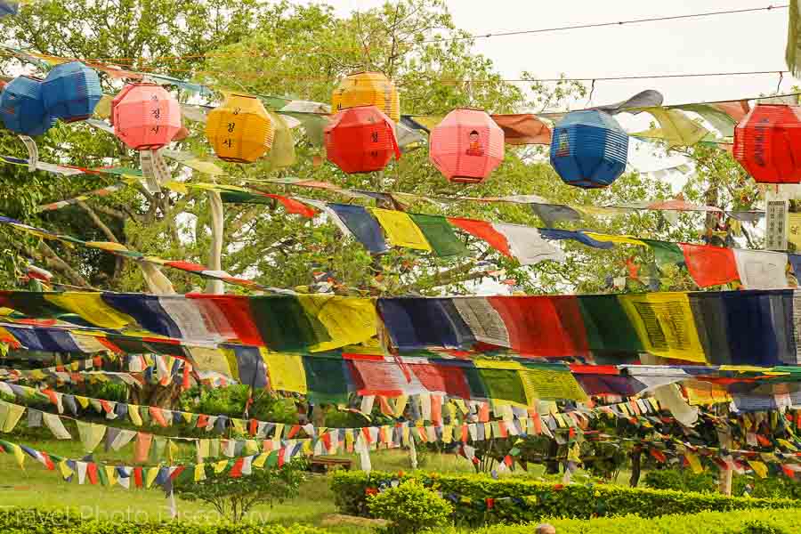 Prayer flags in the Lumbini garden