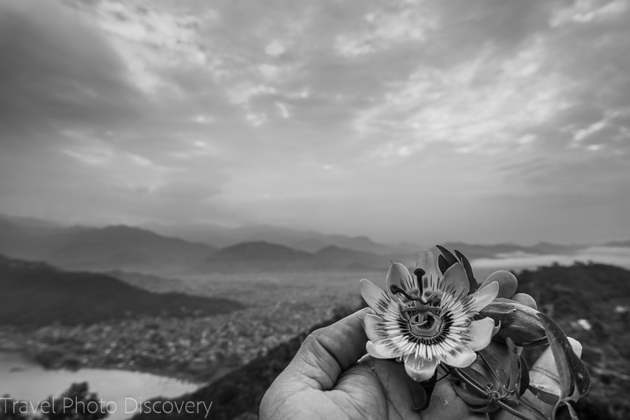 Enjoying the flowers views of Pokhara from above