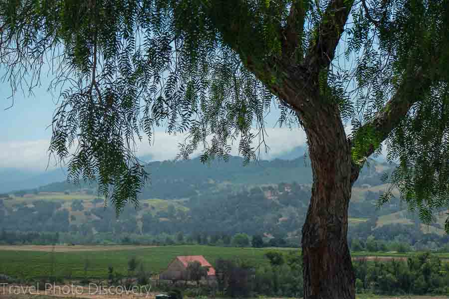 A Tuscany style villa and winery Santa Barbara wine country and region