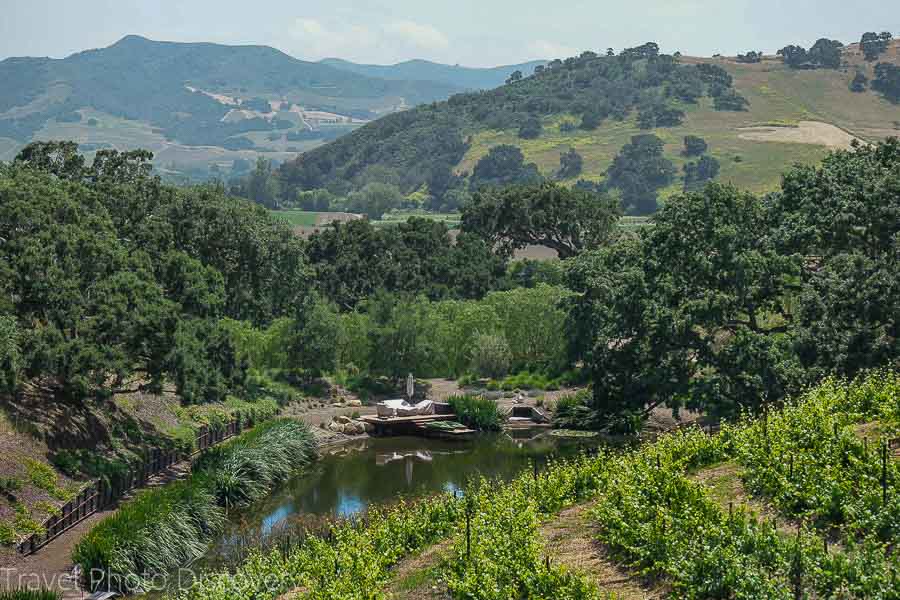 Pence vineyards Santa Barbara wine country and region