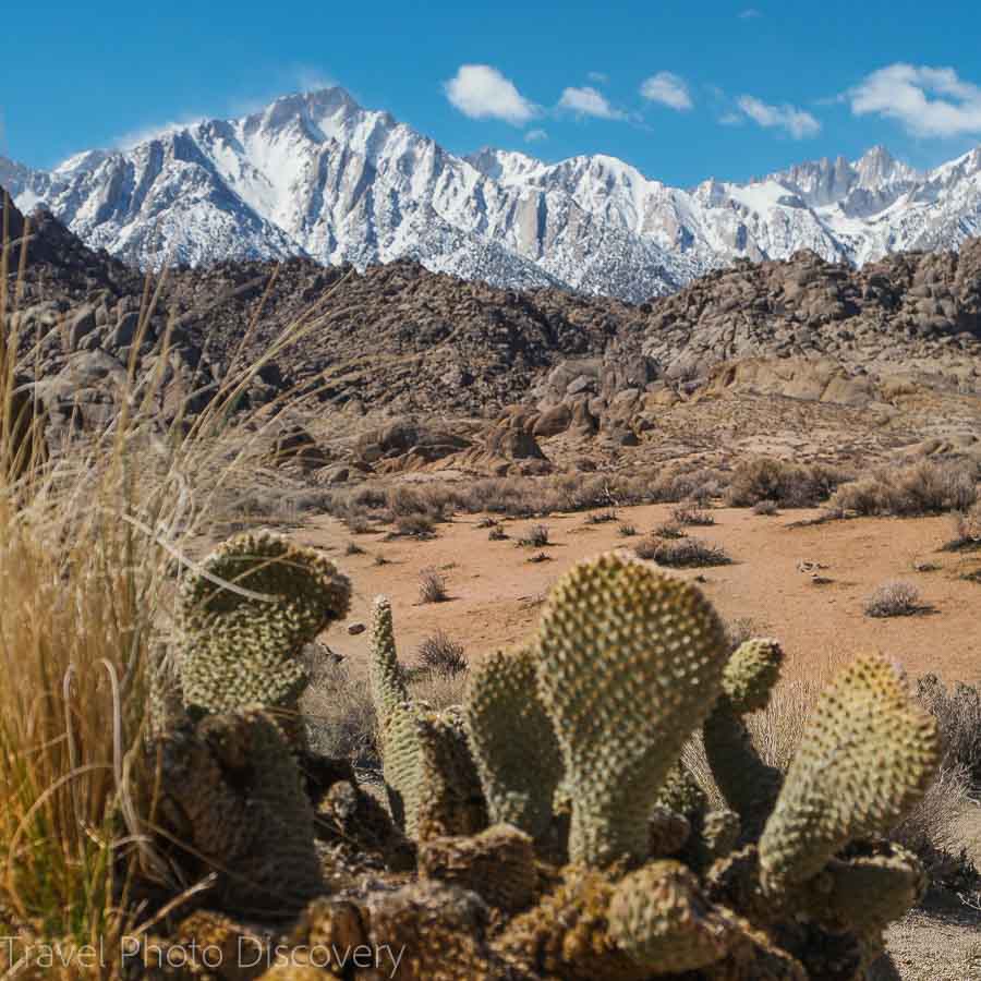 Road trip to Alabama Hills at Inyo Country I395