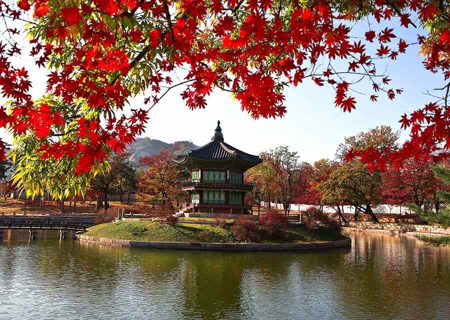 Seoul in fall season Gyeonbukgong