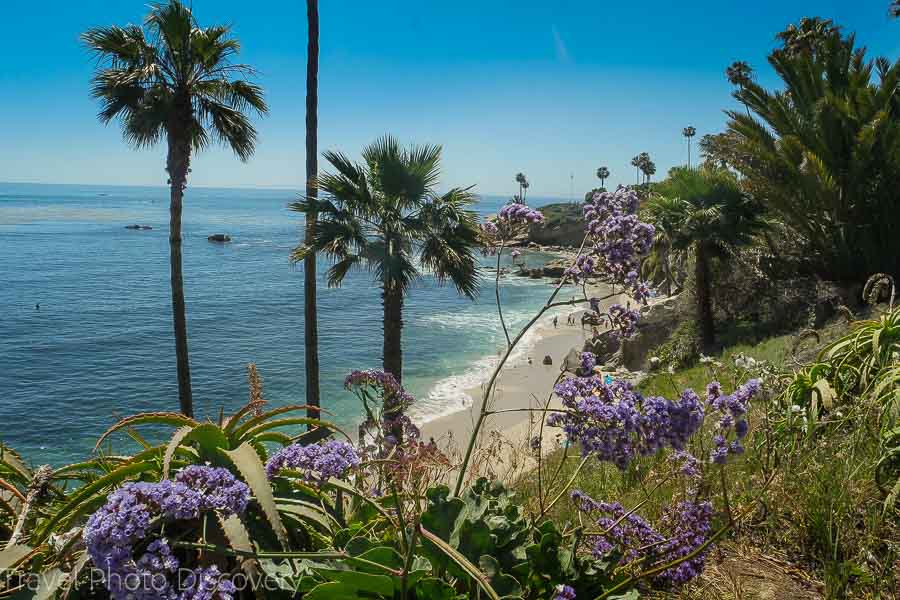 Exploring Laguna Beach coastal walk