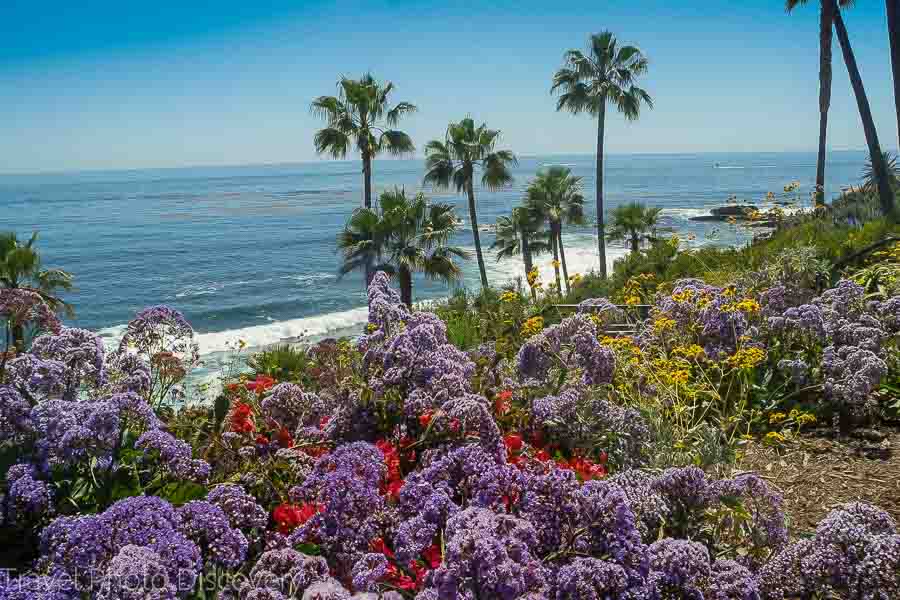 Travel Photo postcard - exploring Laguna Beach