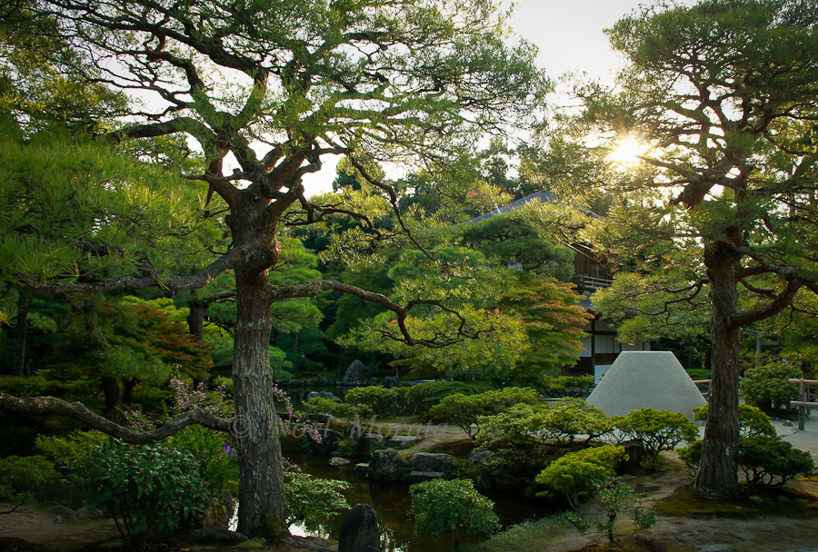 kyoto gardens at fall season in Japan