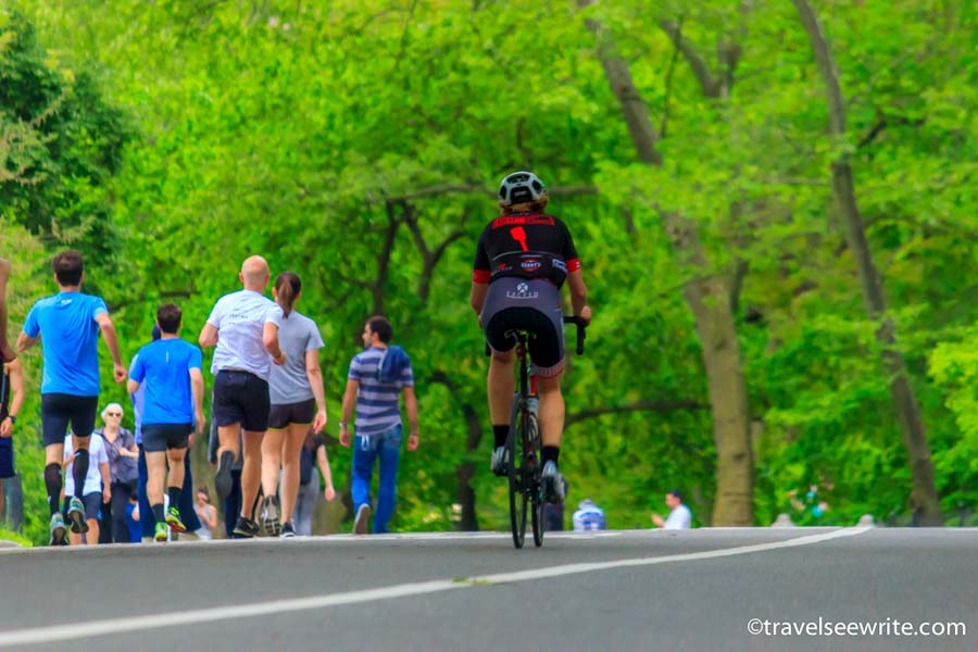 Central Park, New York What to see in New York City