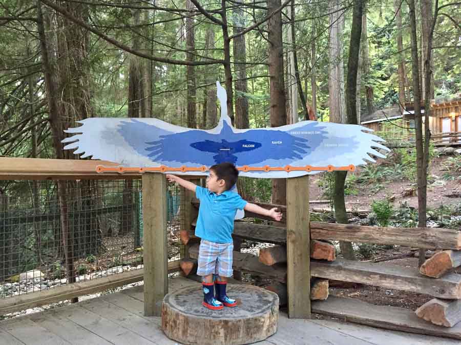 Capilano Suspension Bridge Park, Vancouver