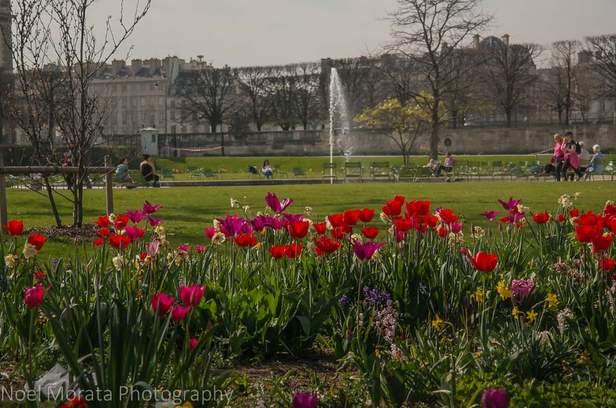 The jardin des Tuileries in Paris