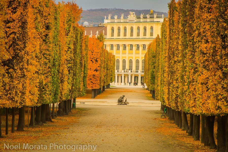 Schonbrunn in fall time