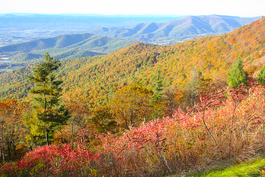 Shenandoah Valley in Virginia