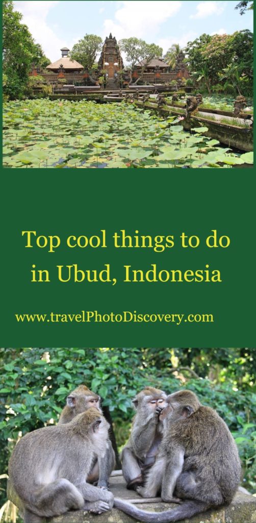 top things to do in ubud, indonesia