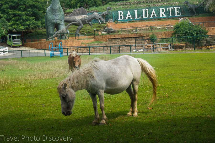 Baluarte Zoo in historic Vigan city